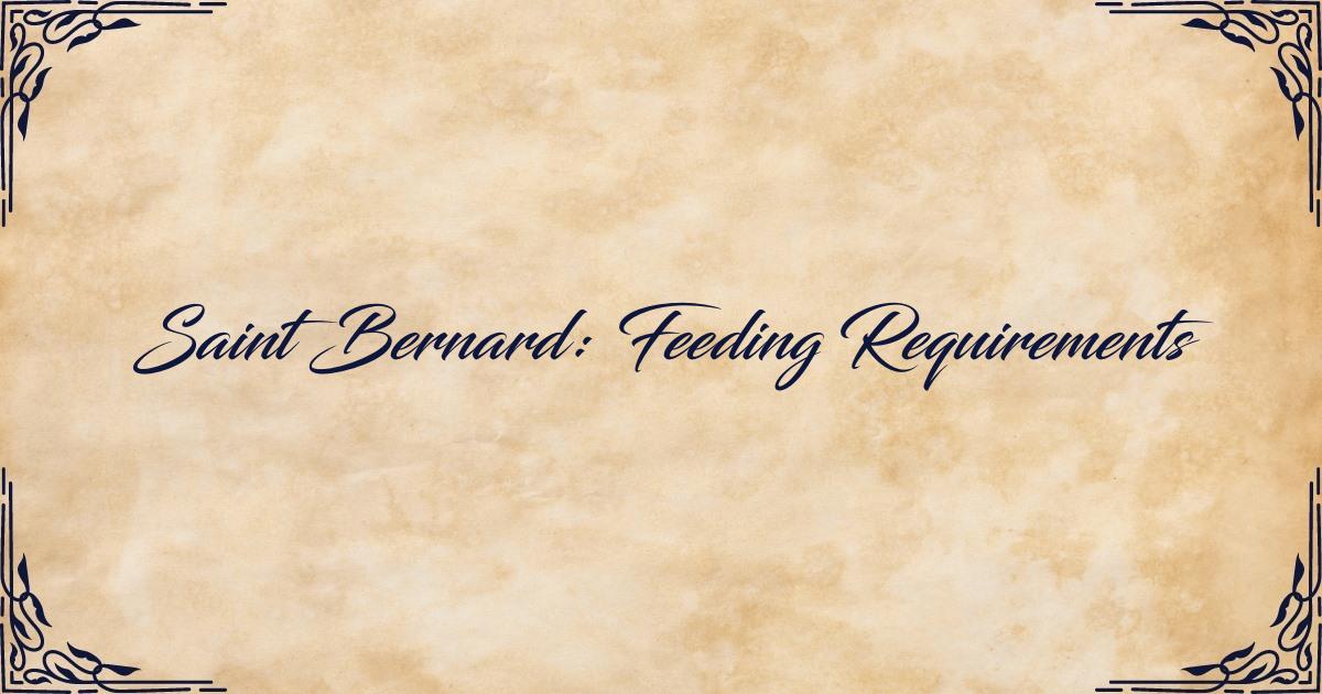 Feeding Requirements of Saint Bernard