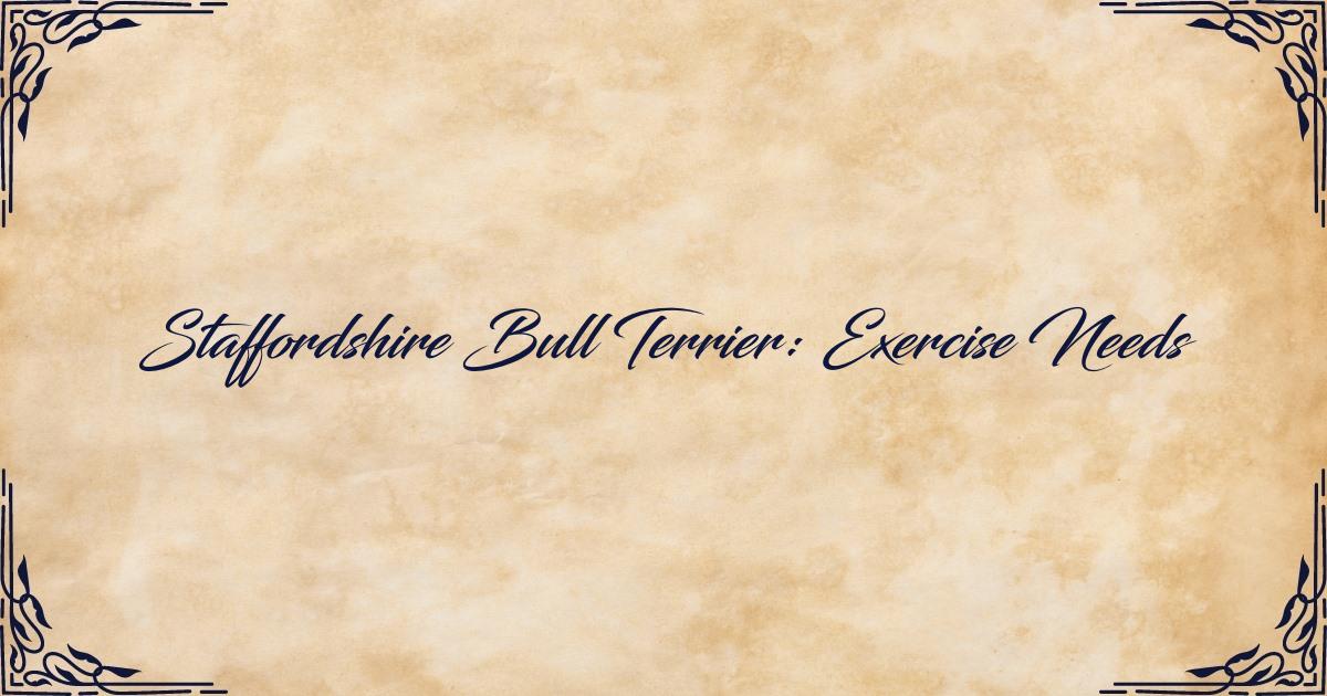 Exercise Needs of Staffordshire Bull Terrier